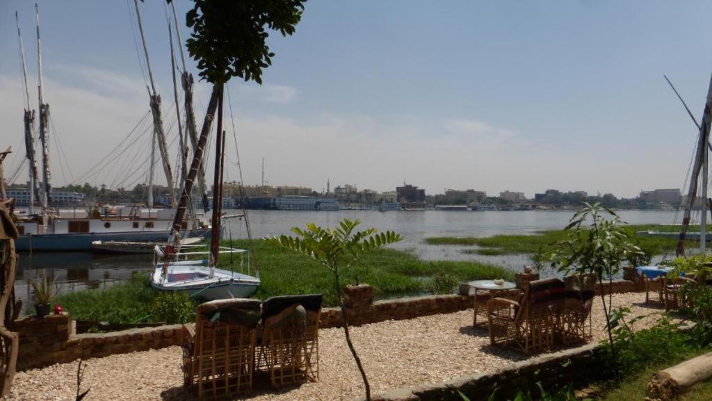 Nile View Panoramique And Garden West Bank Apartamento Luksor Exterior foto