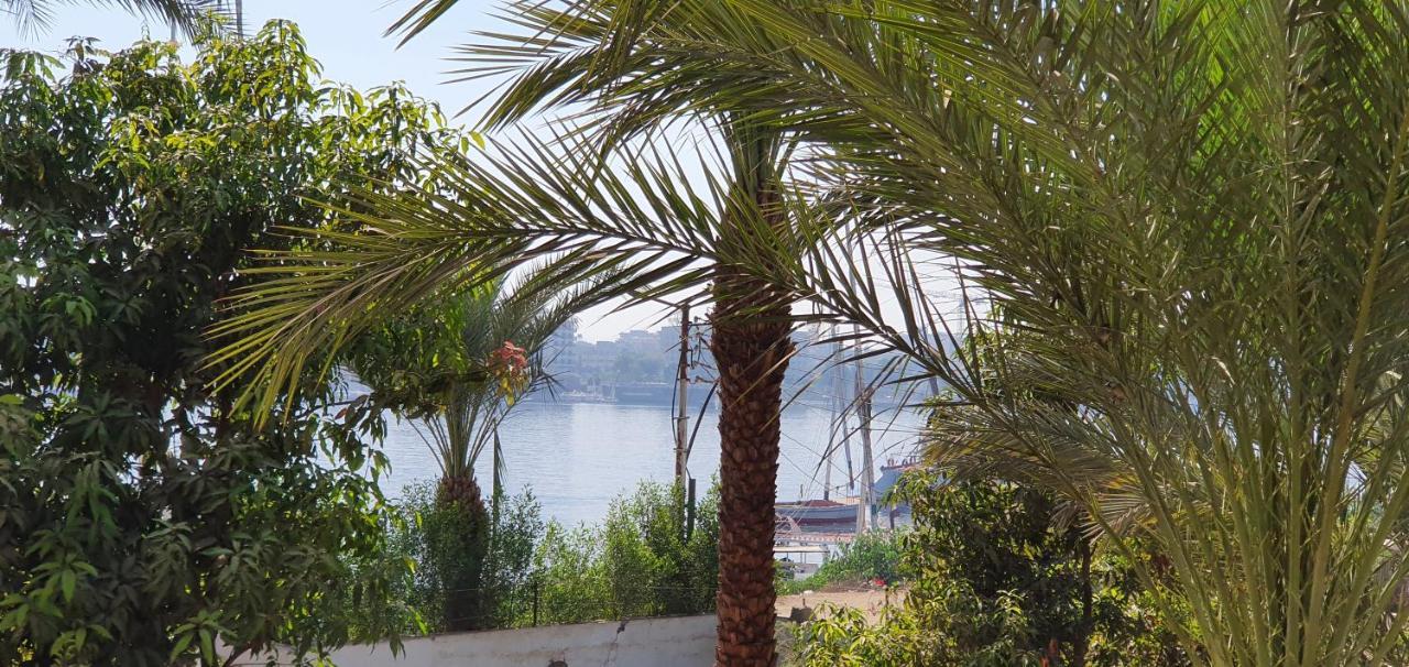 Nile View Panoramique And Garden West Bank Apartamento Luksor Exterior foto